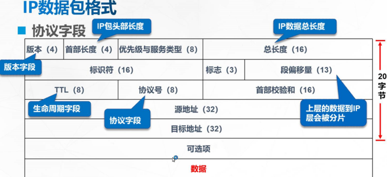 网络层协议,arp攻击是什么_网络被arp攻击怎么办